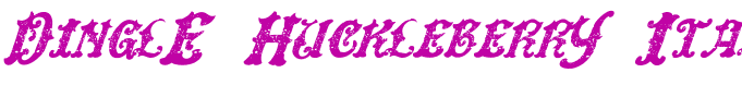 DinglE HuckleberrY Italic